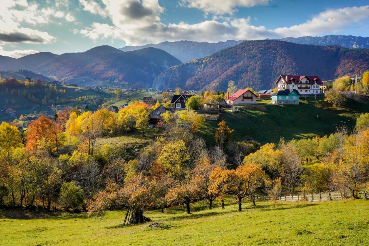 Pensiunea Hodaita Мэгура Экстерьер фото