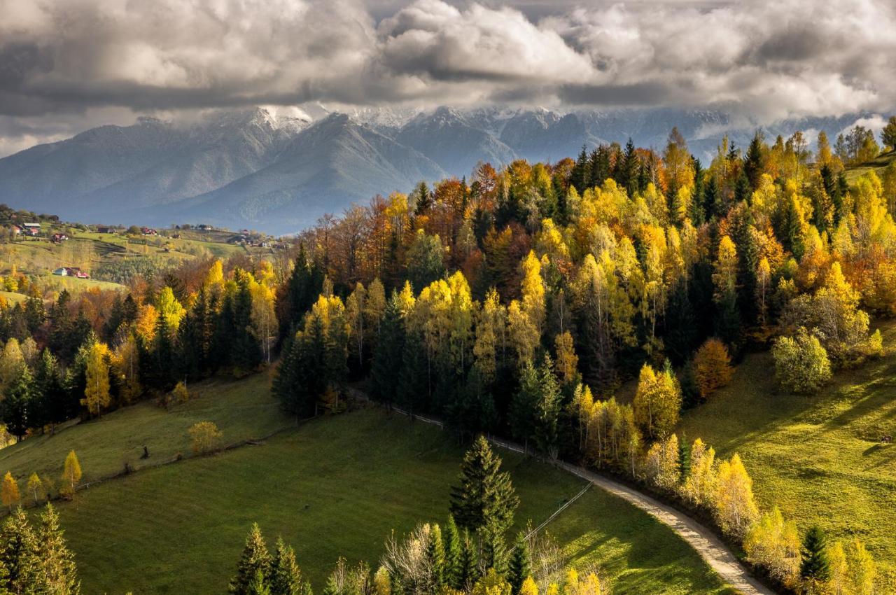 Pensiunea Hodaita Мэгура Экстерьер фото